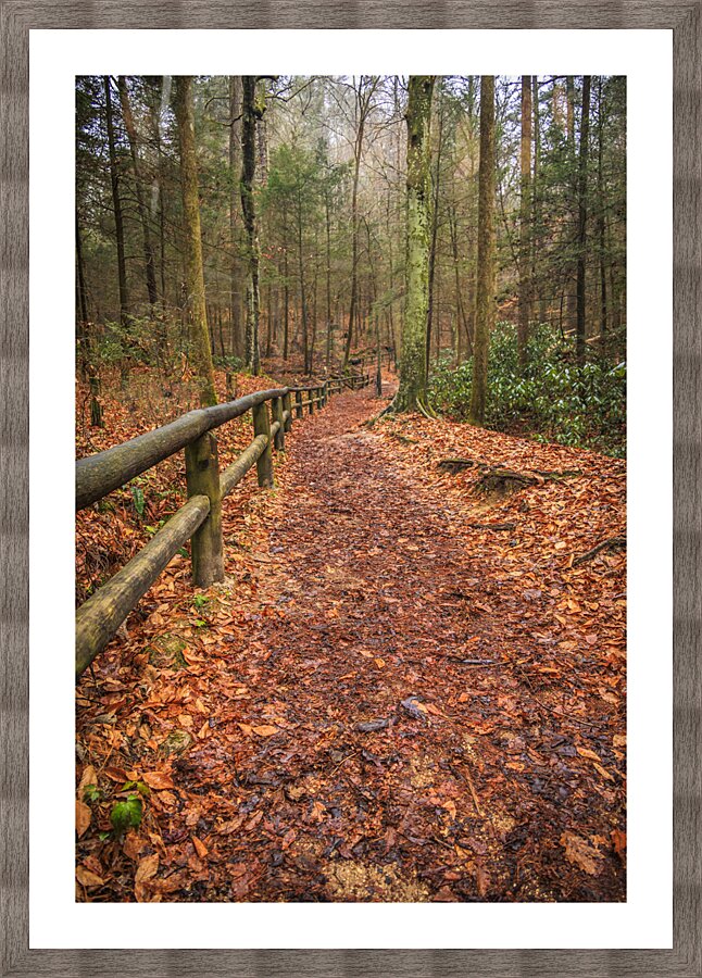 Store Georgia 5L3A5708 Picture Frame print