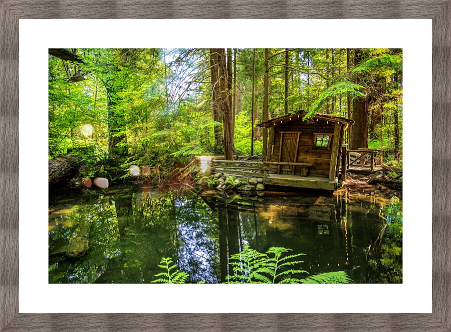 Store Vancouver 5L3A6820 Picture Frame print