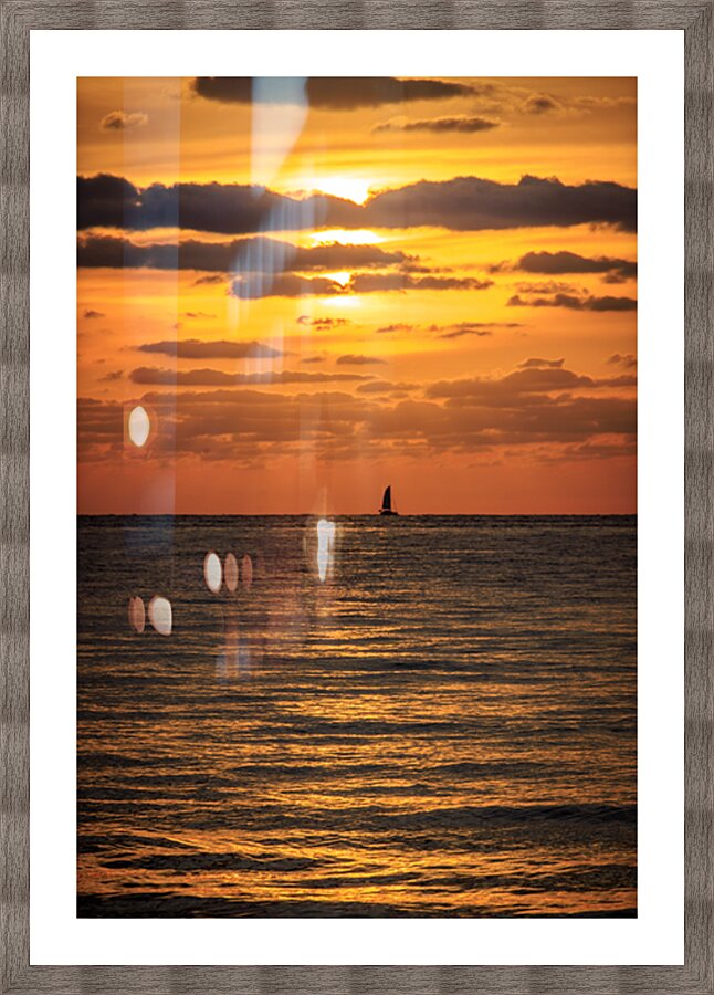Store Dania Beach AE2A8665 Picture Frame print