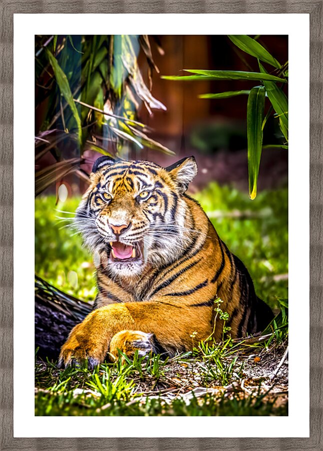 Wildlife 8 Picture Frame print