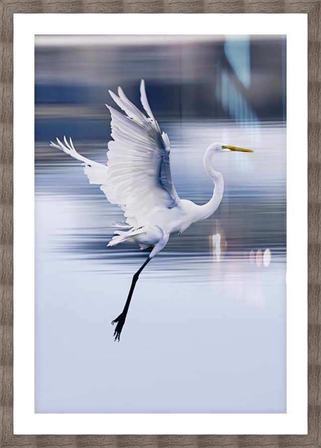 Wildlife 1 Picture Frame print
