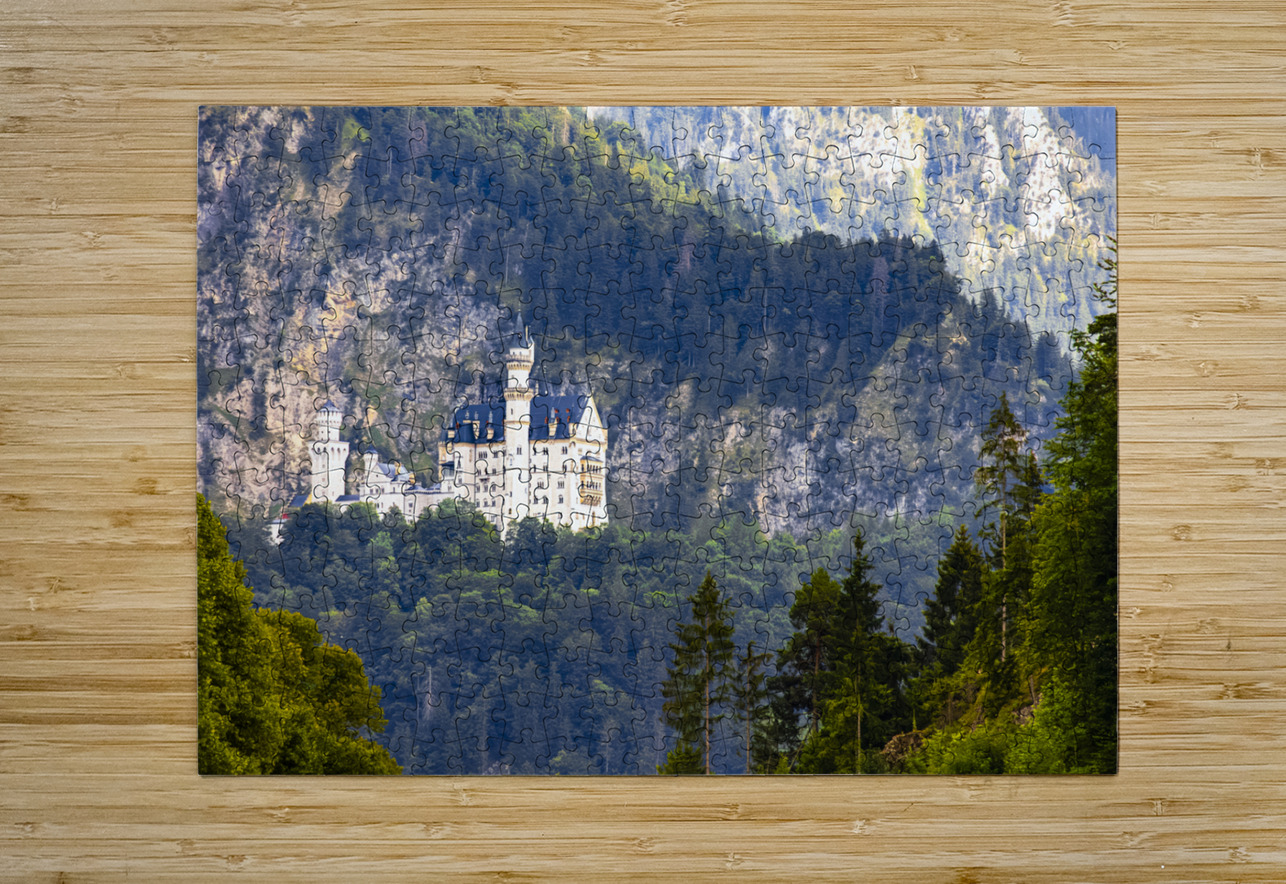 Store Munich  5L3A4301 Enhanced NR Tono Chavez Puzzle printing