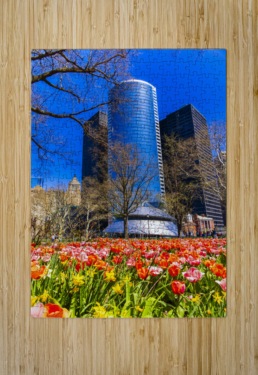 Store New York 5L3A0337 Tono Chavez Puzzle printing