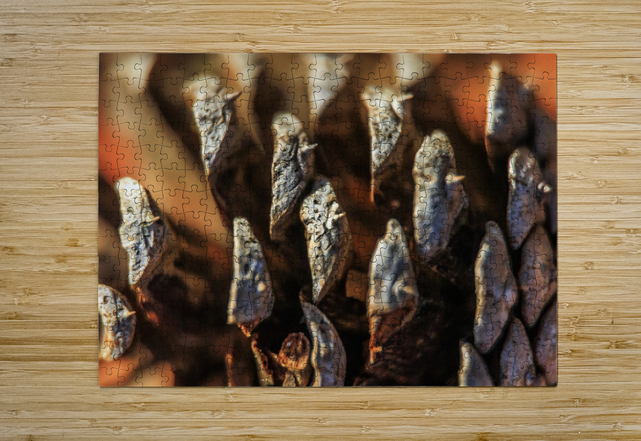 Store Georgia 5L3A0127 Tono Chavez Puzzle printing