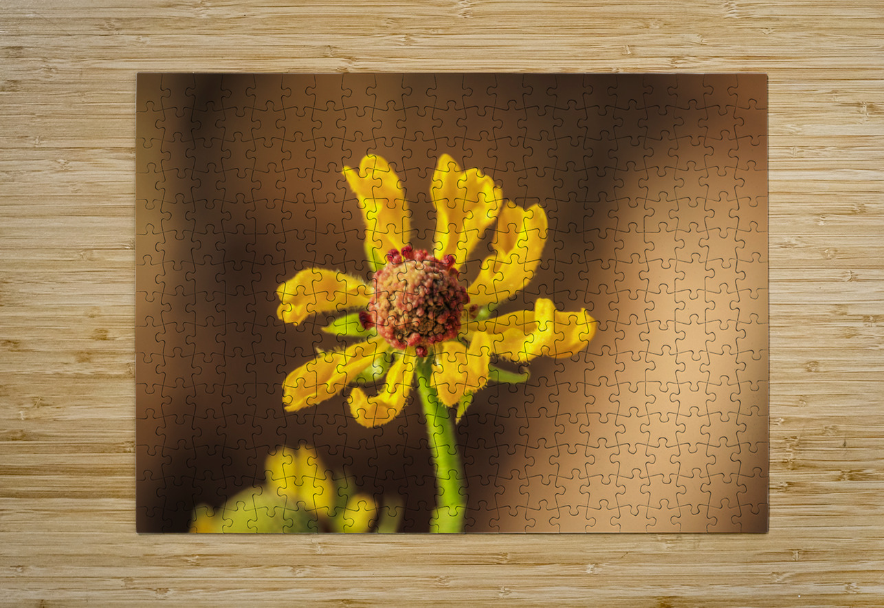 Store Georgia 5L3A0133 Tono Chavez Puzzle printing