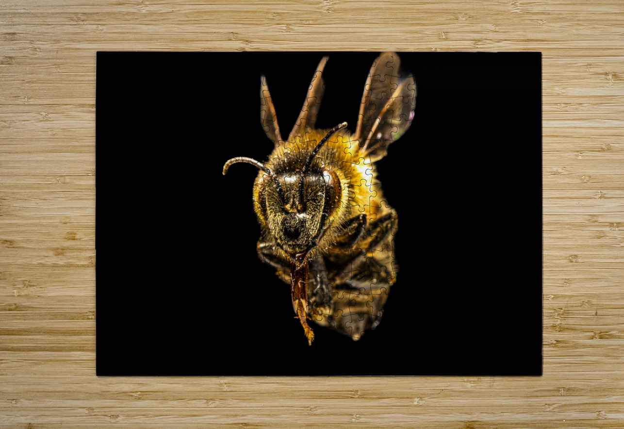 Store Macro 5L3A2752 Tono Chavez Puzzle printing