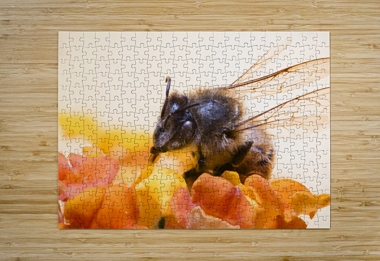 Store Macro 2024 06 16 Tono Chavez Puzzle printing