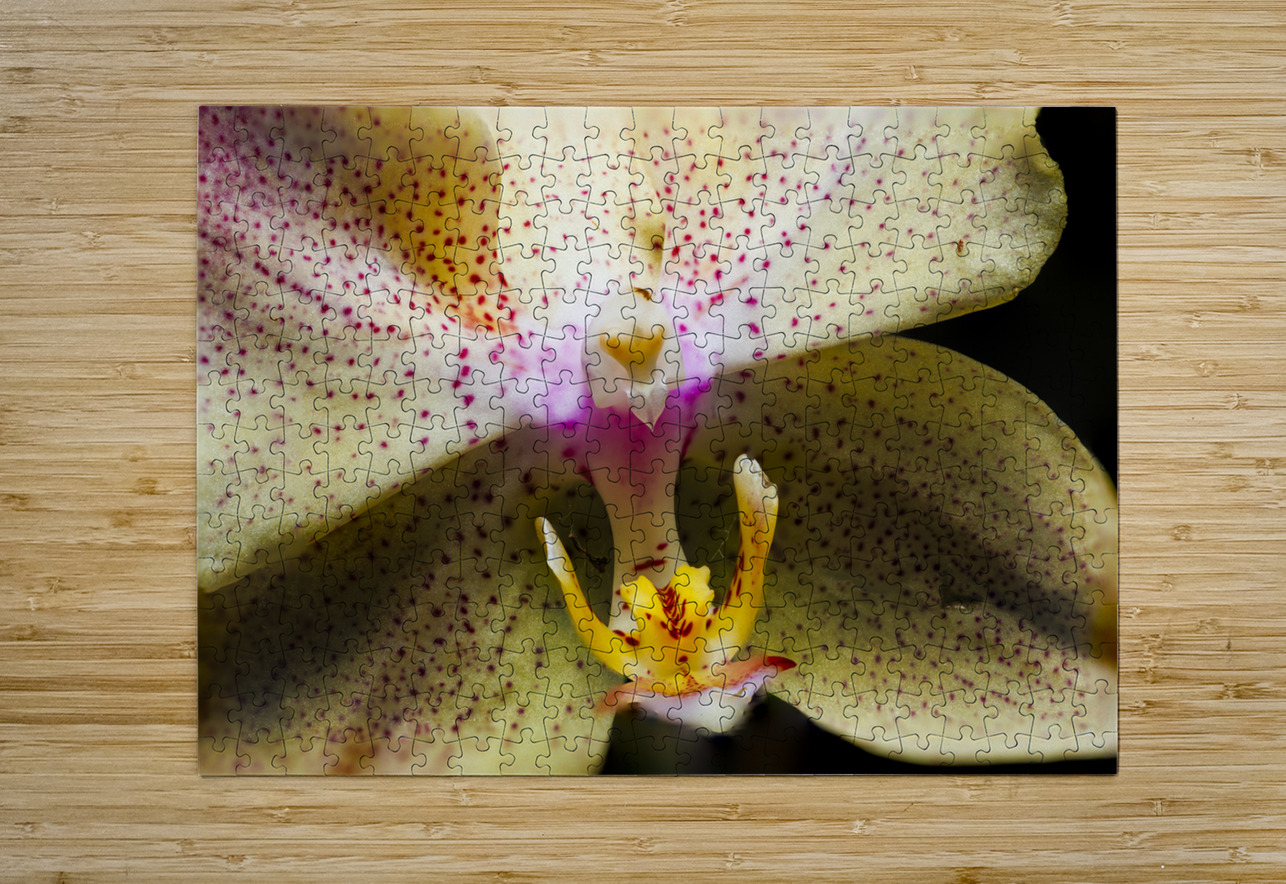 Store Macro 5L3A3617 Tono Chavez Puzzle printing