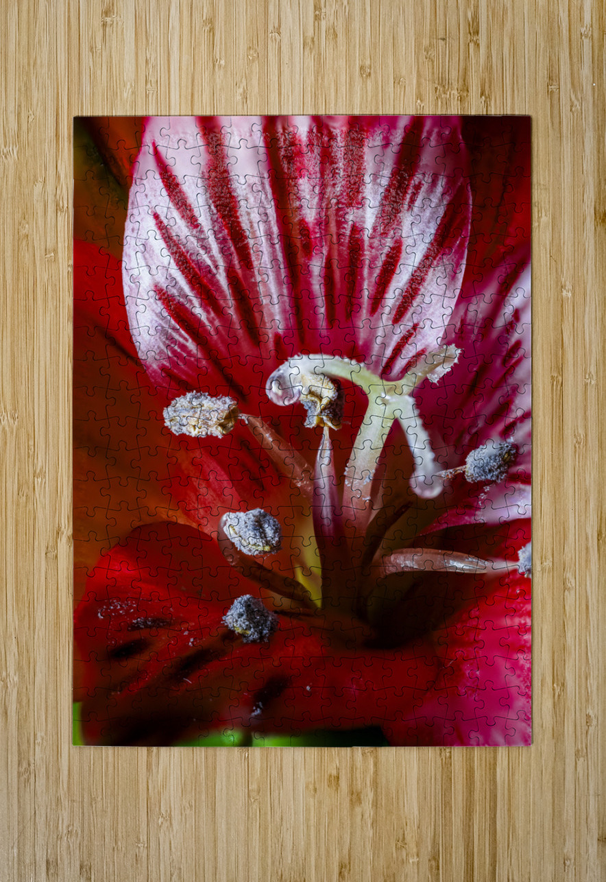 Store Macro 5L3A3662 Tono Chavez Puzzle printing