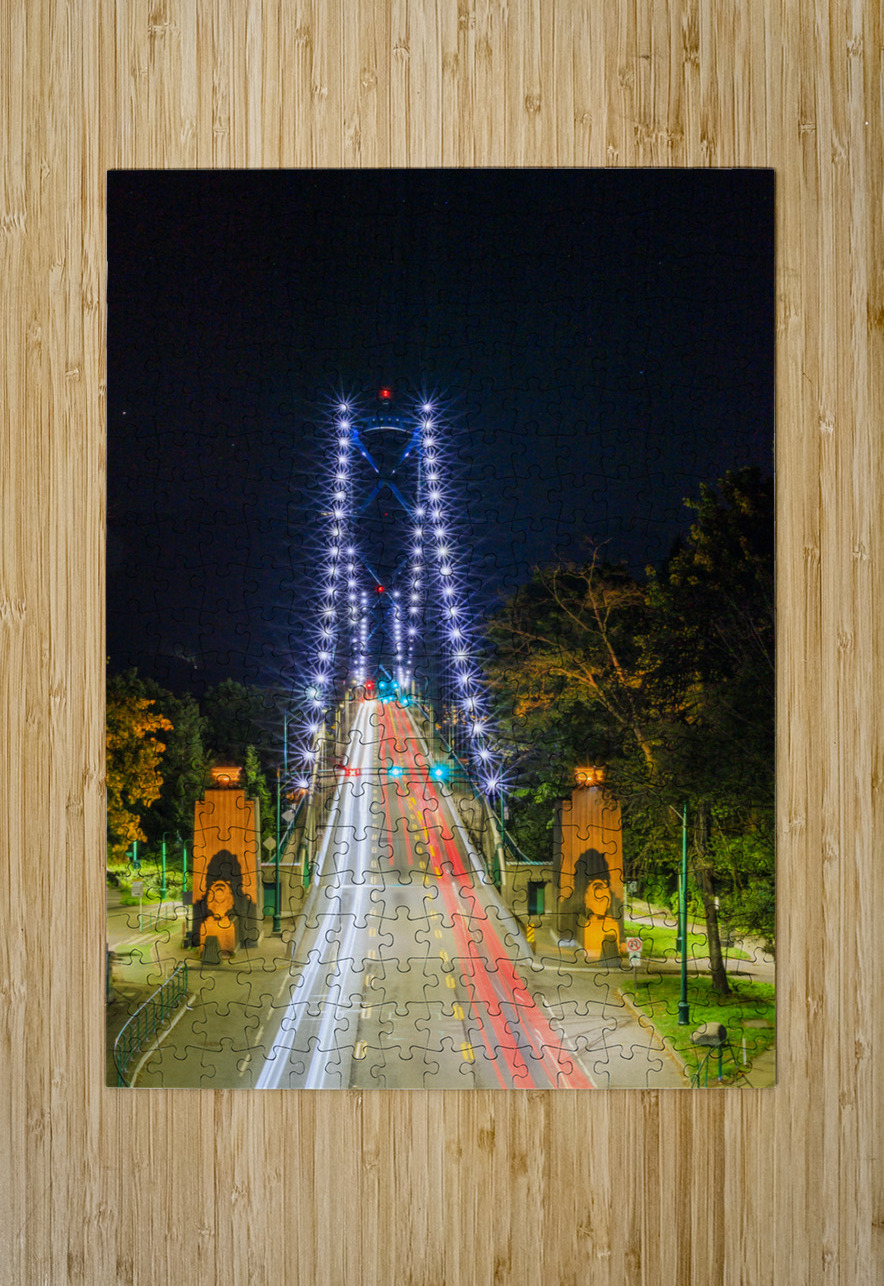 Store Vancouver 5L3A8885 Tono Chavez Puzzle printing