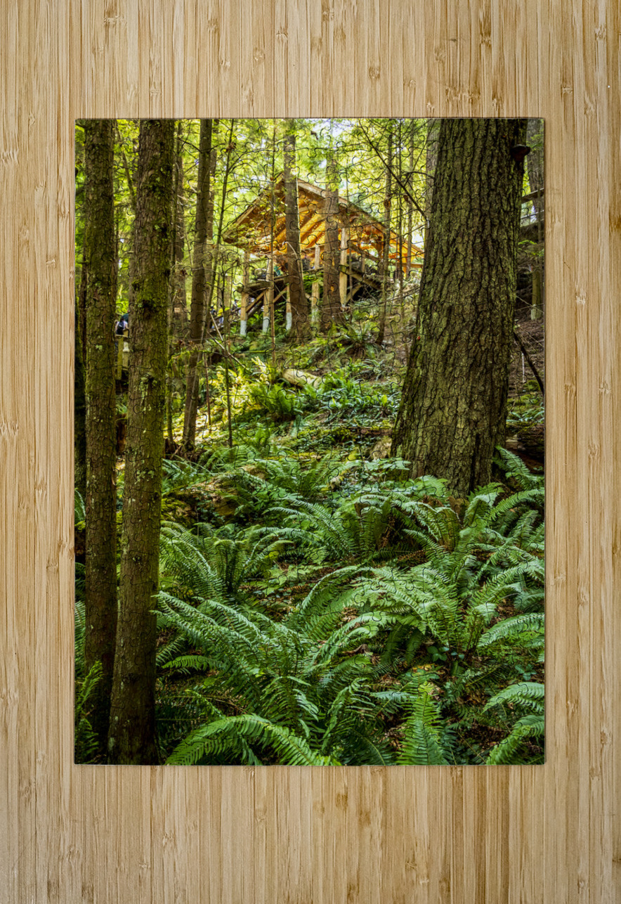 Store Vancouver 5L3A6895 Tono Chavez Puzzle printing