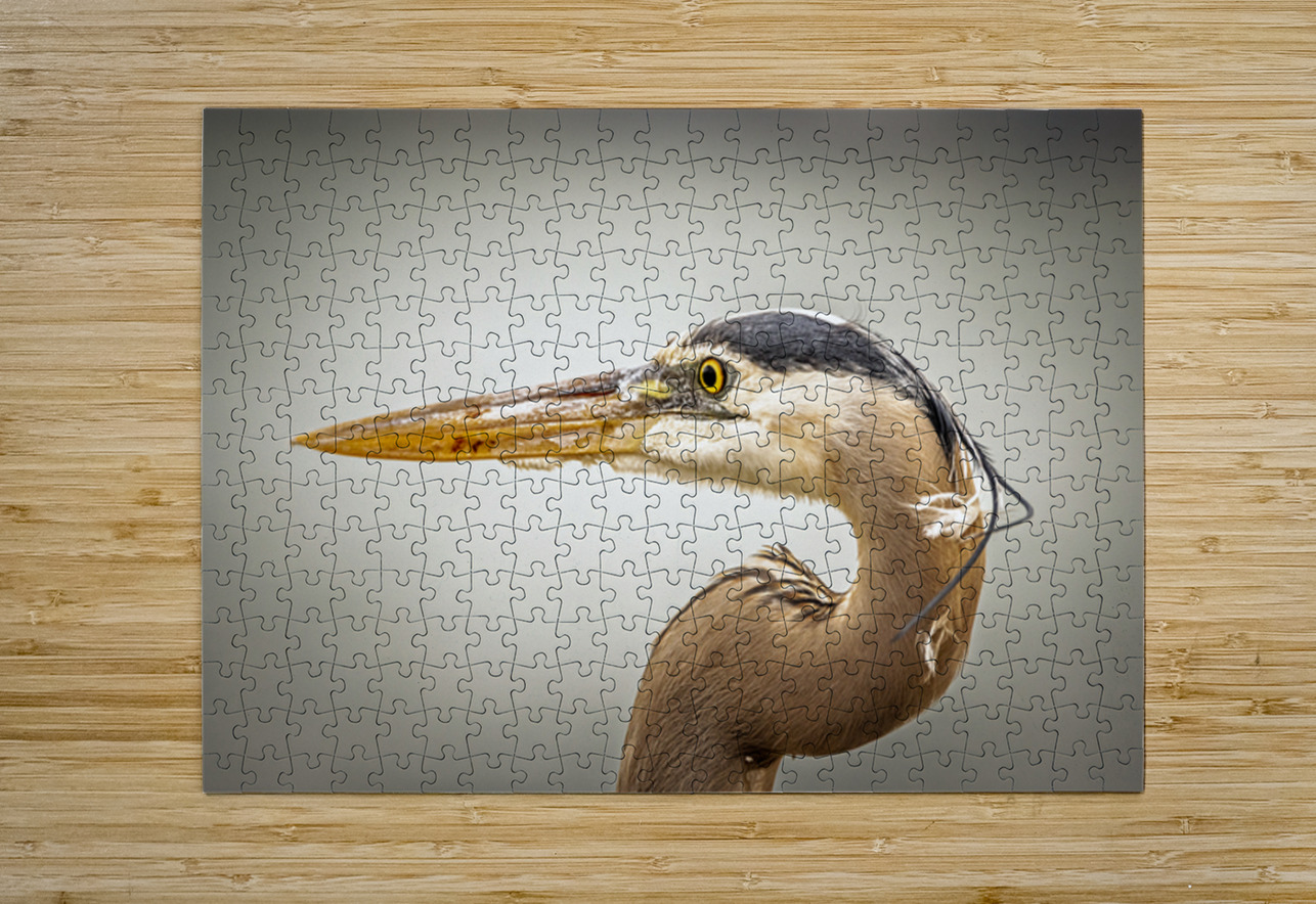 Store Key Biscayne AE2A9025 Tono Chavez Puzzle printing