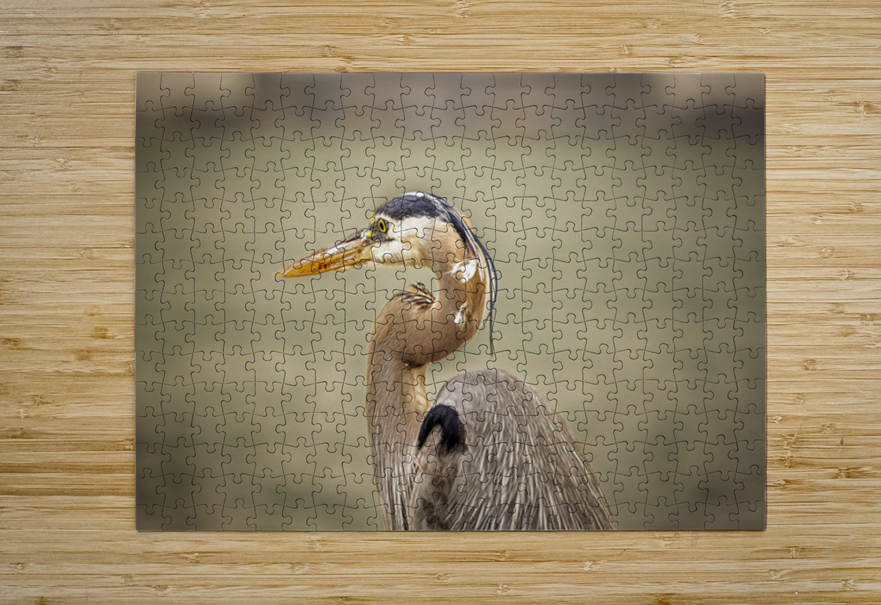 Store Key Biscayne AE2A9010 Tono Chavez Puzzle printing