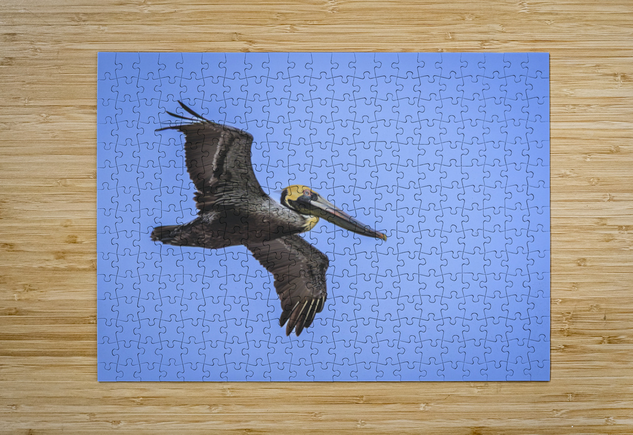 Store Dania Beach AE2A8905 Tono Chavez Puzzle printing