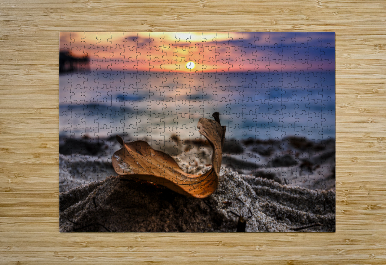 Store Dania Beach AE2A8654 Tono Chavez Puzzle printing