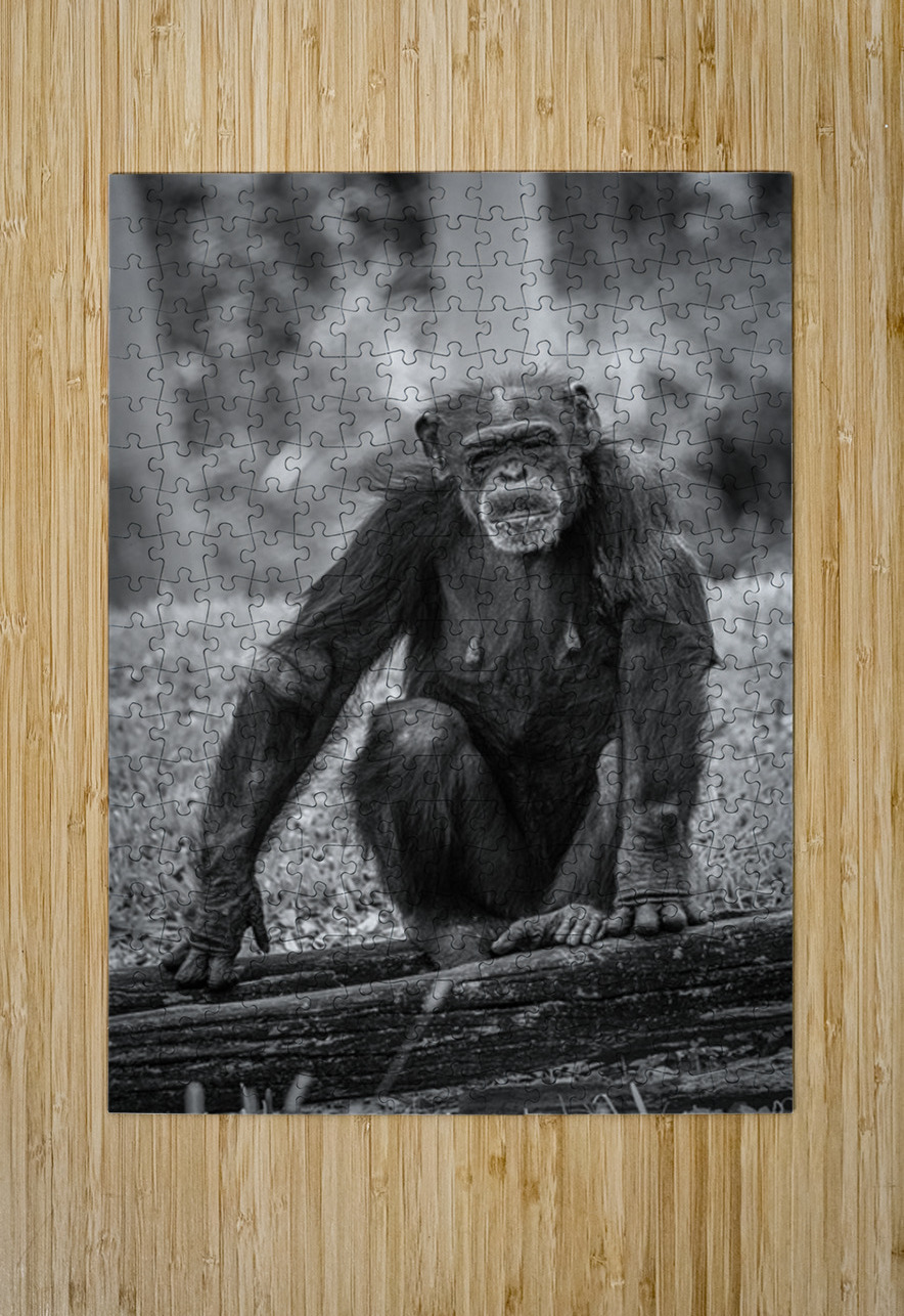 Wildlife 5 Tono Chavez Puzzle printing