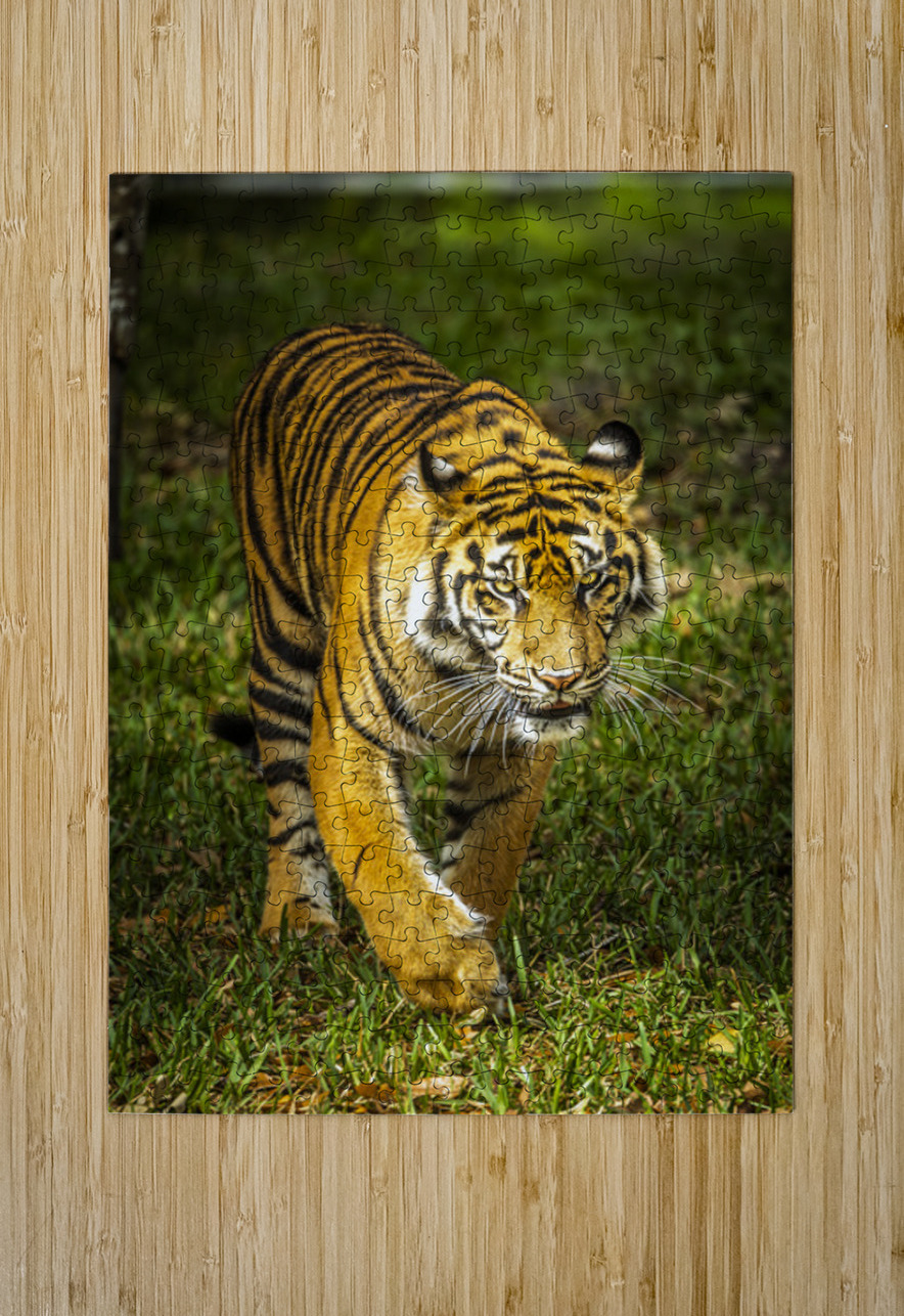 Wildlife 3 Tono Chavez Puzzle printing