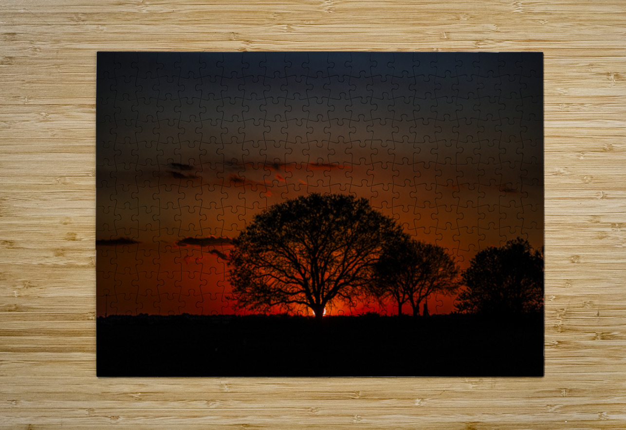 Vista View MG 7330 Tono Chavez Puzzle printing