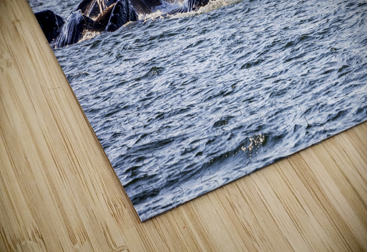 Alaska Whales Tono Chavez Puzzle