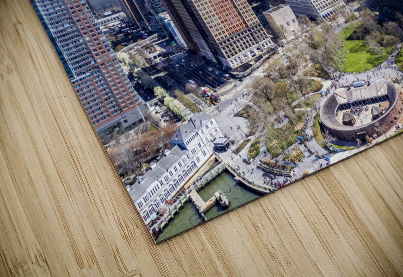 New York Battery Park Tono Chavez Puzzle