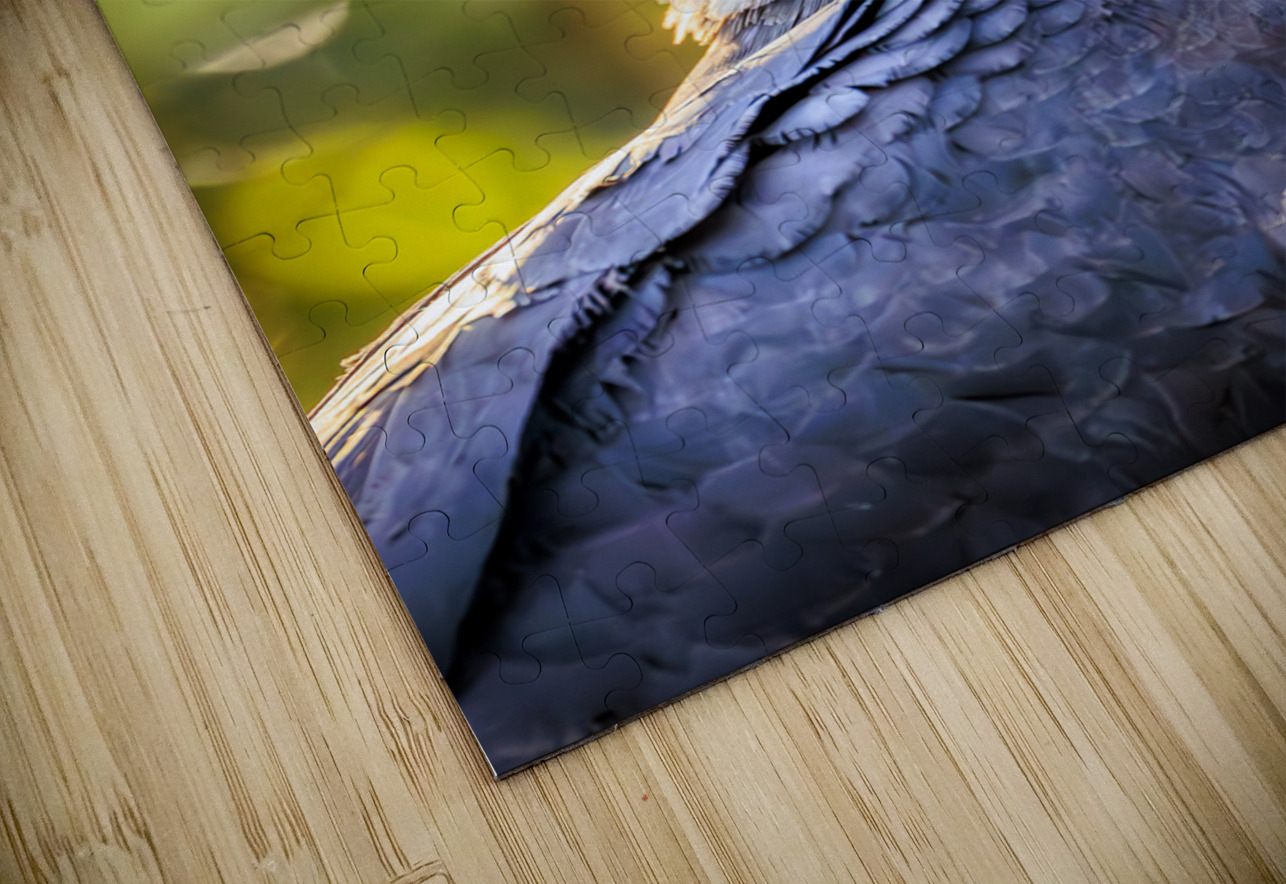 Harpy Eagle Tono Chavez Puzzle