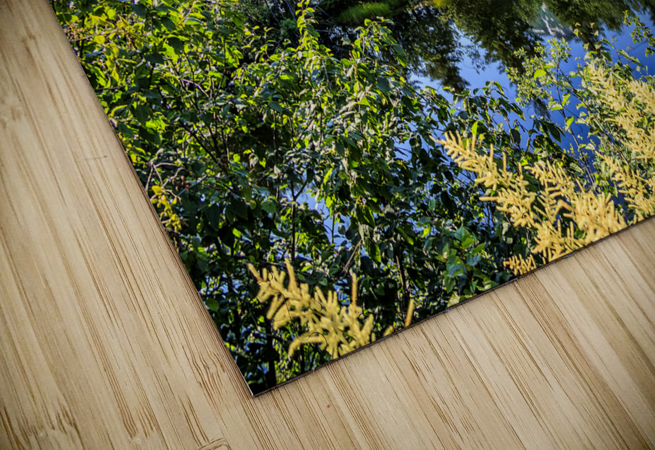 Store Alaska5L3A7515 Tono Chavez Puzzle