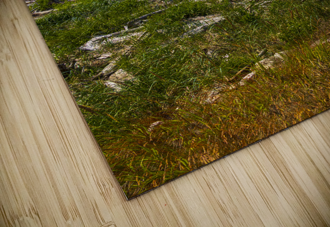 Store Alaska5L3A8128 Tono Chavez Puzzle