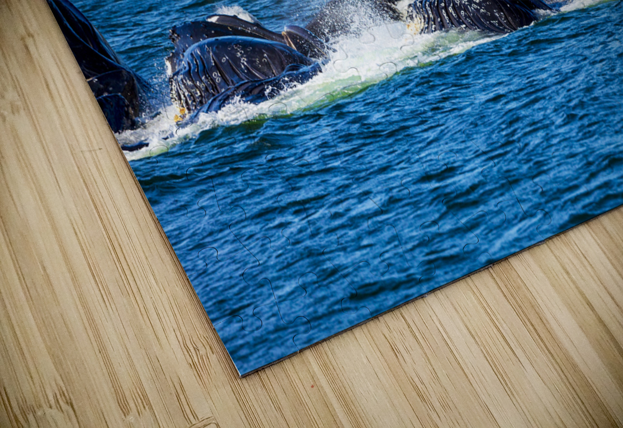 Store Alaska5L3A7546 Tono Chavez Puzzle