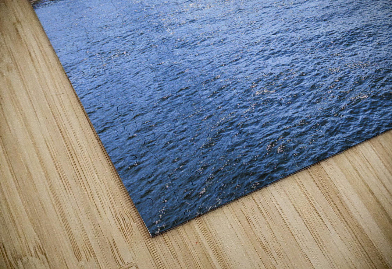 Store Paris 5L3A2540 Tono Chavez Puzzle