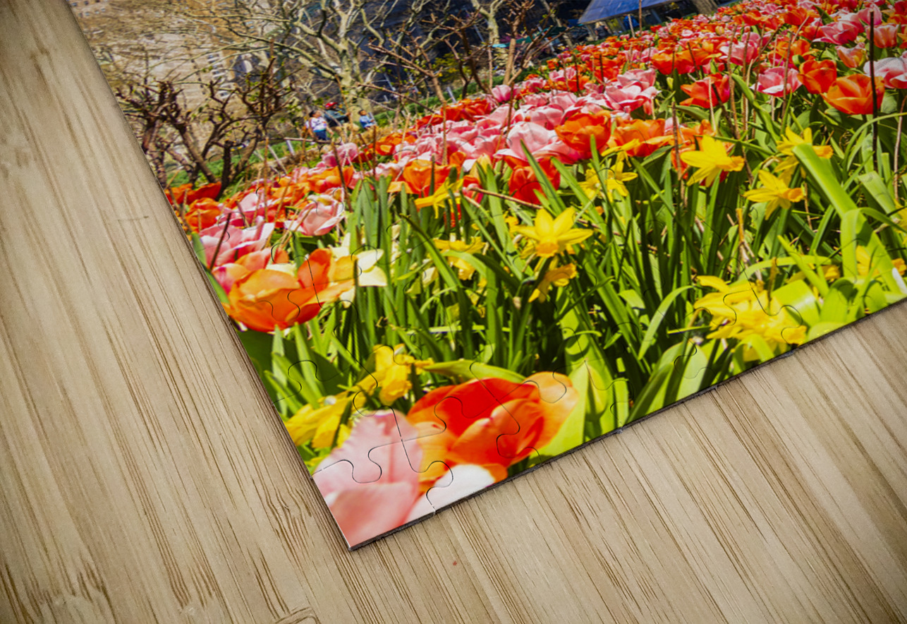 Store New York 5L3A0337 Tono Chavez Puzzle