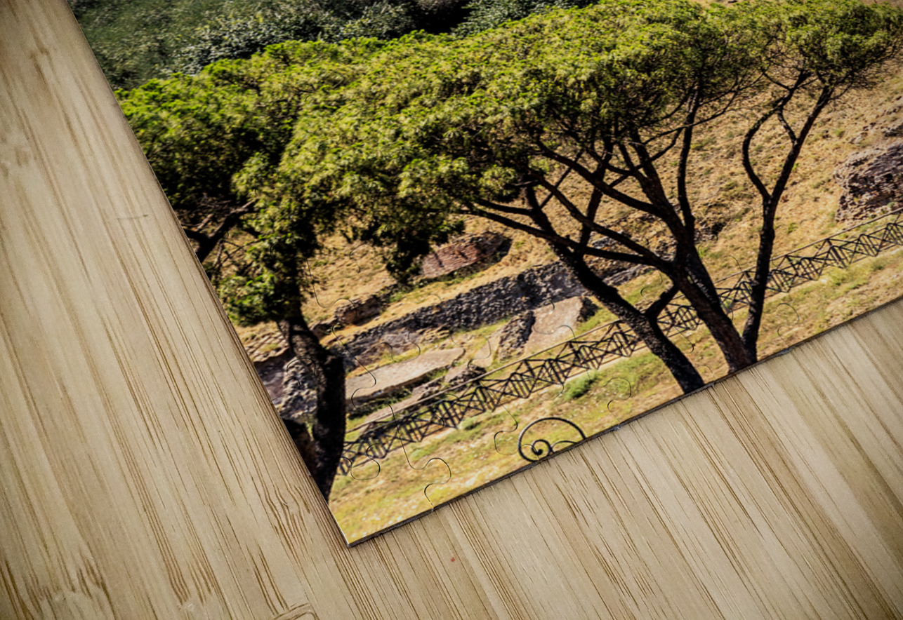 Store Rome 5L3A5011 Tono Chavez Puzzle