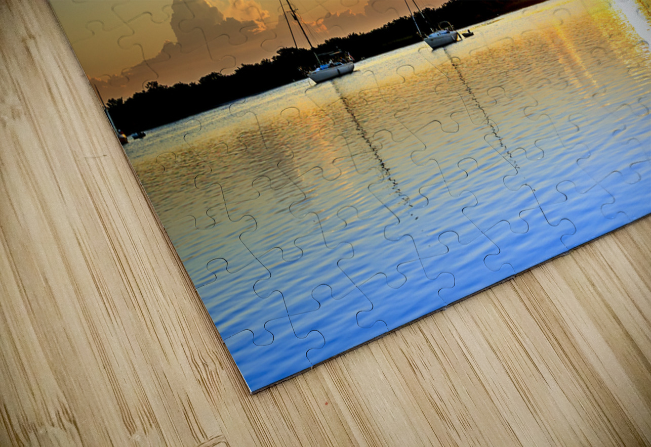 Store Florida 5L3A9280 Tono Chavez Puzzle