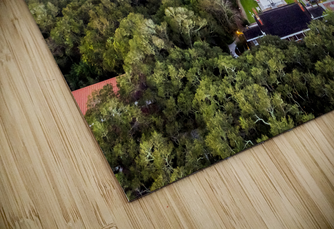 Store Florida DJI 0359 Tono Chavez Puzzle