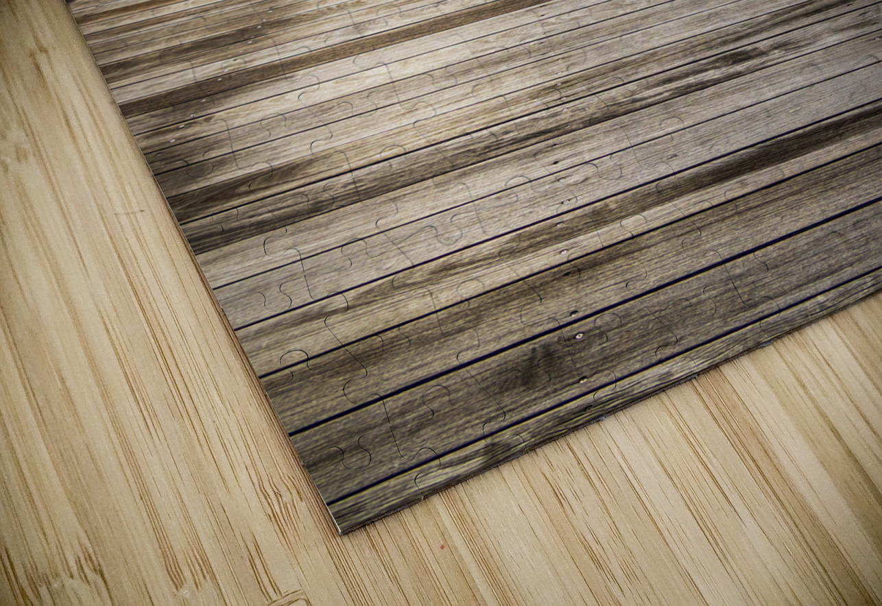 Store Florida 5L3A6606 Tono Chavez Puzzle