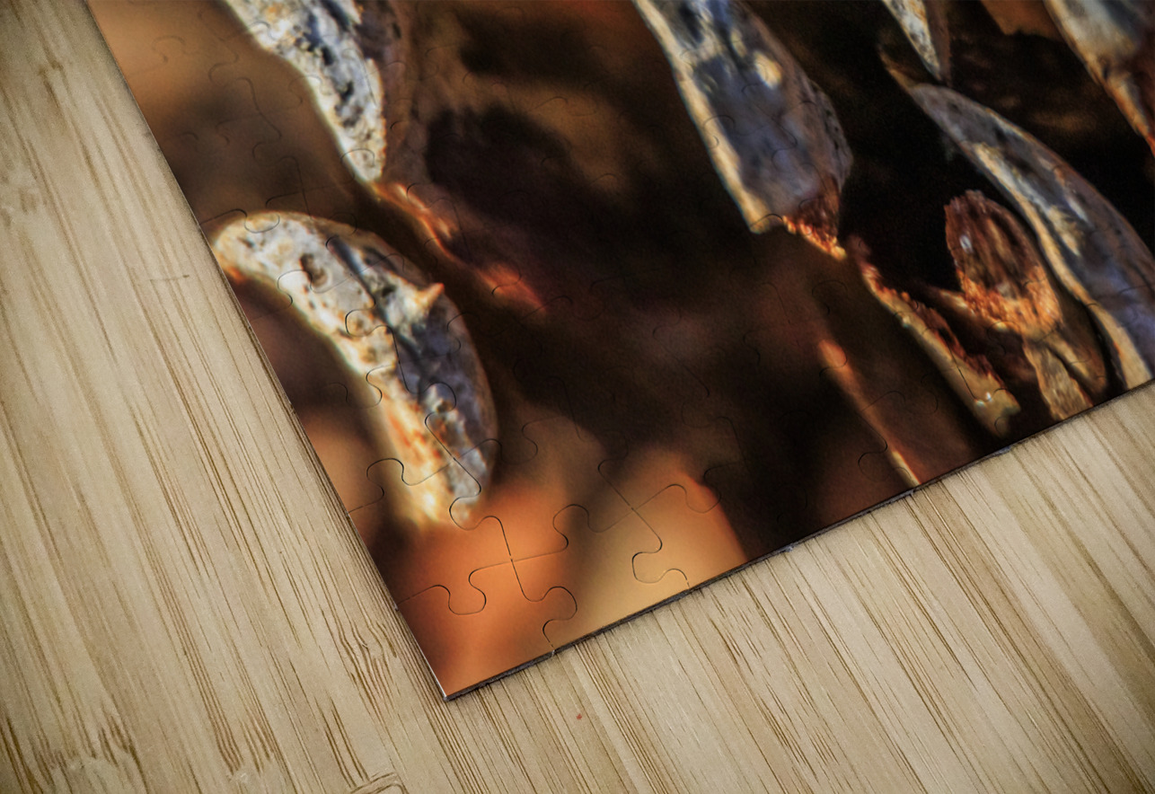 Store Georgia 5L3A0127 Tono Chavez Puzzle