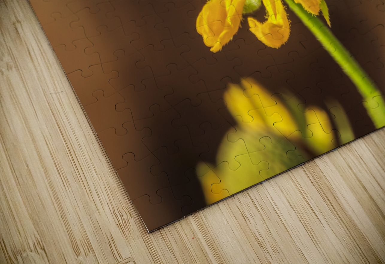 Store Georgia 5L3A0133 Tono Chavez Puzzle