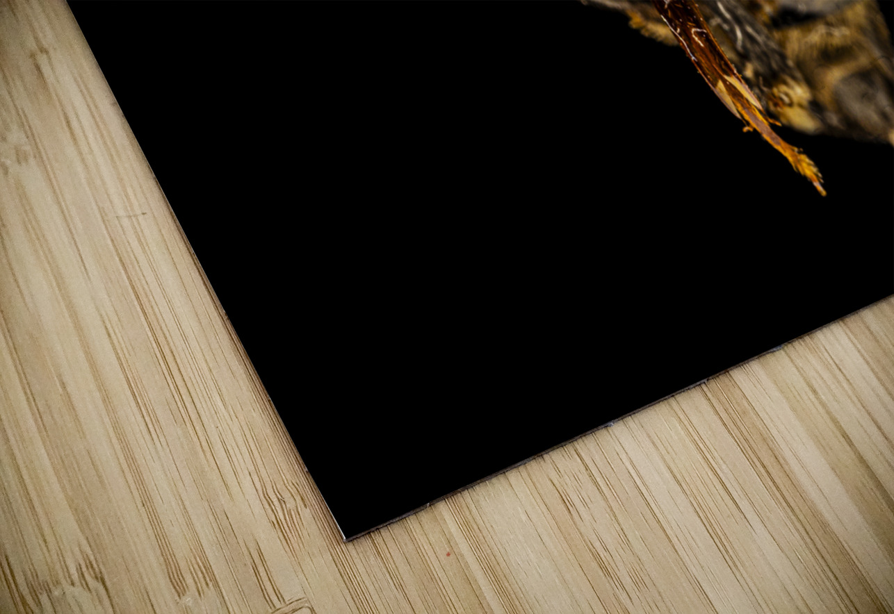 Store Macro 5L3A2752 Tono Chavez Puzzle