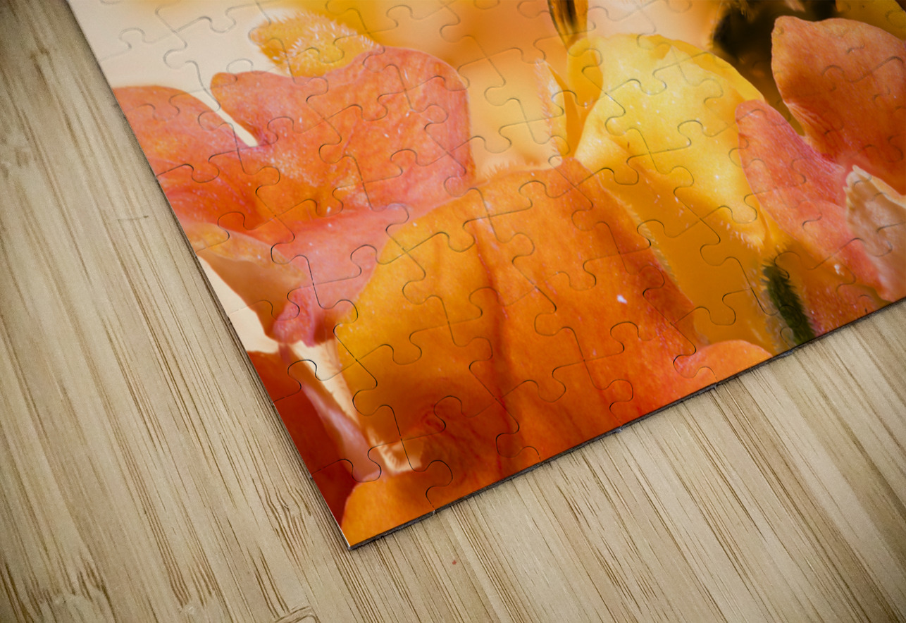 Store Macro 2024 06 16 Tono Chavez Puzzle