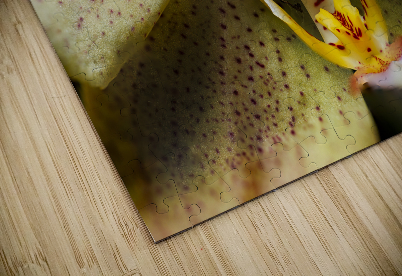 Store Macro 5L3A3617 Tono Chavez Puzzle