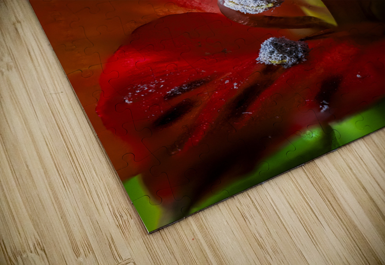 Store Macro 5L3A3662 Tono Chavez Puzzle