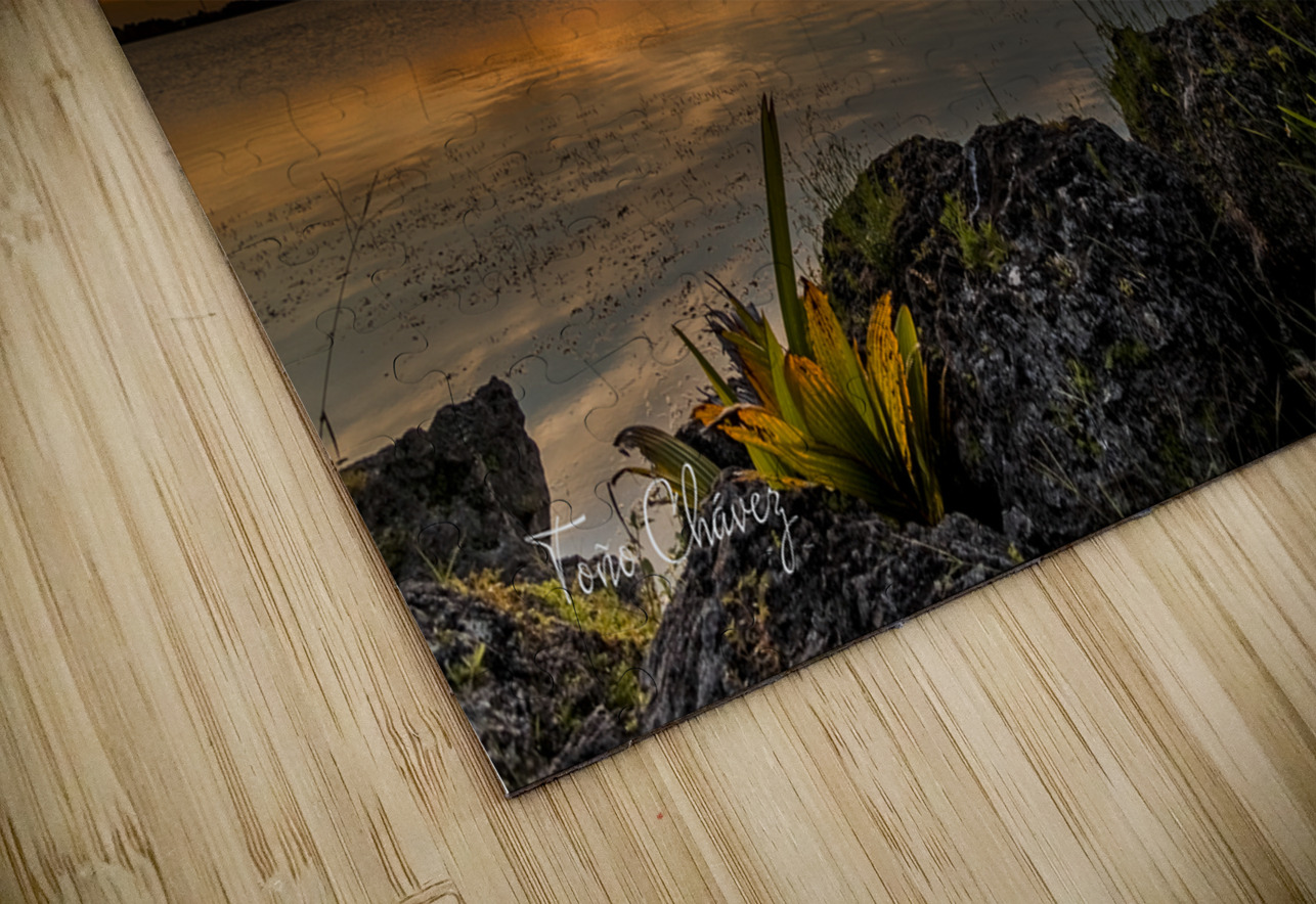 Sunset 14 Tono Chavez Puzzle