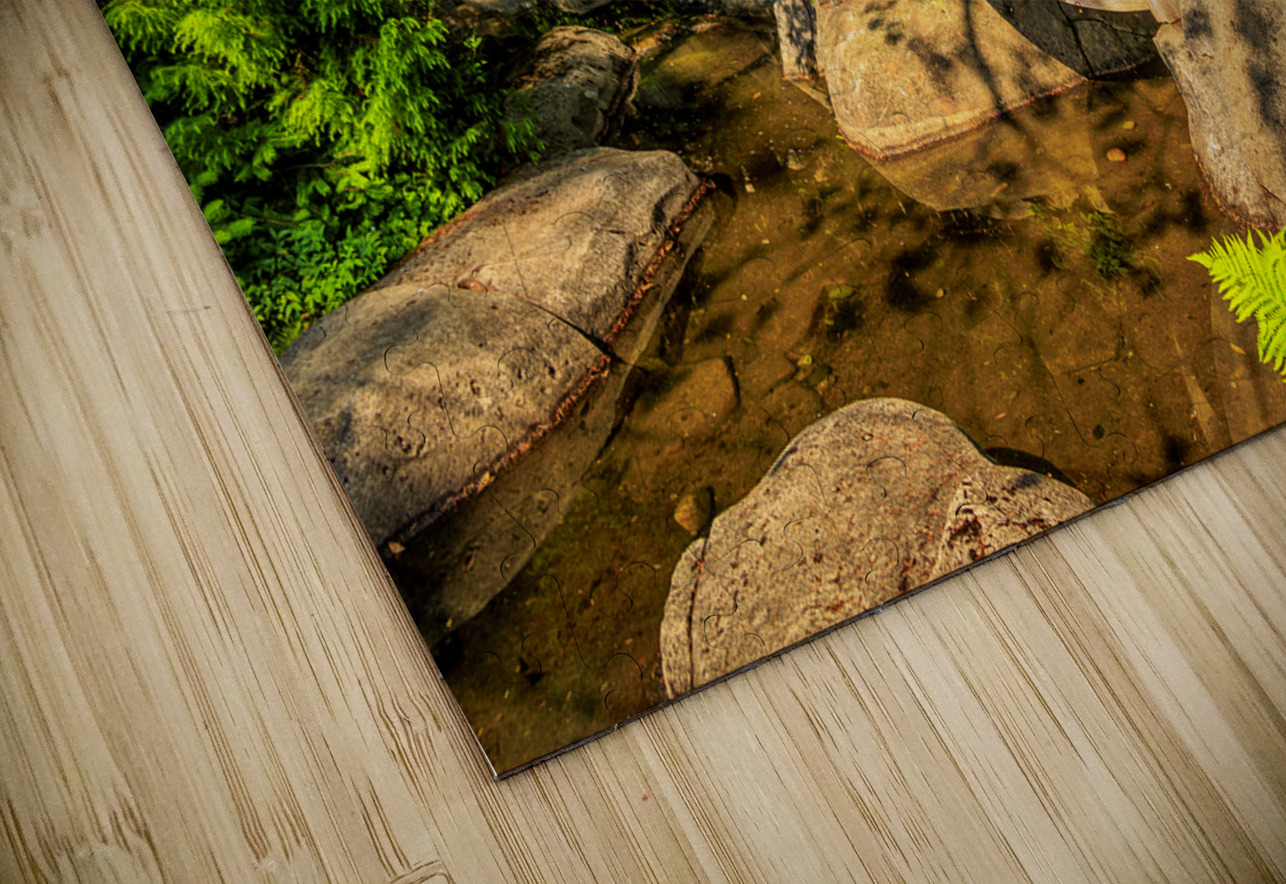 Store Vancouver 5L3A6951 Tono Chavez Puzzle