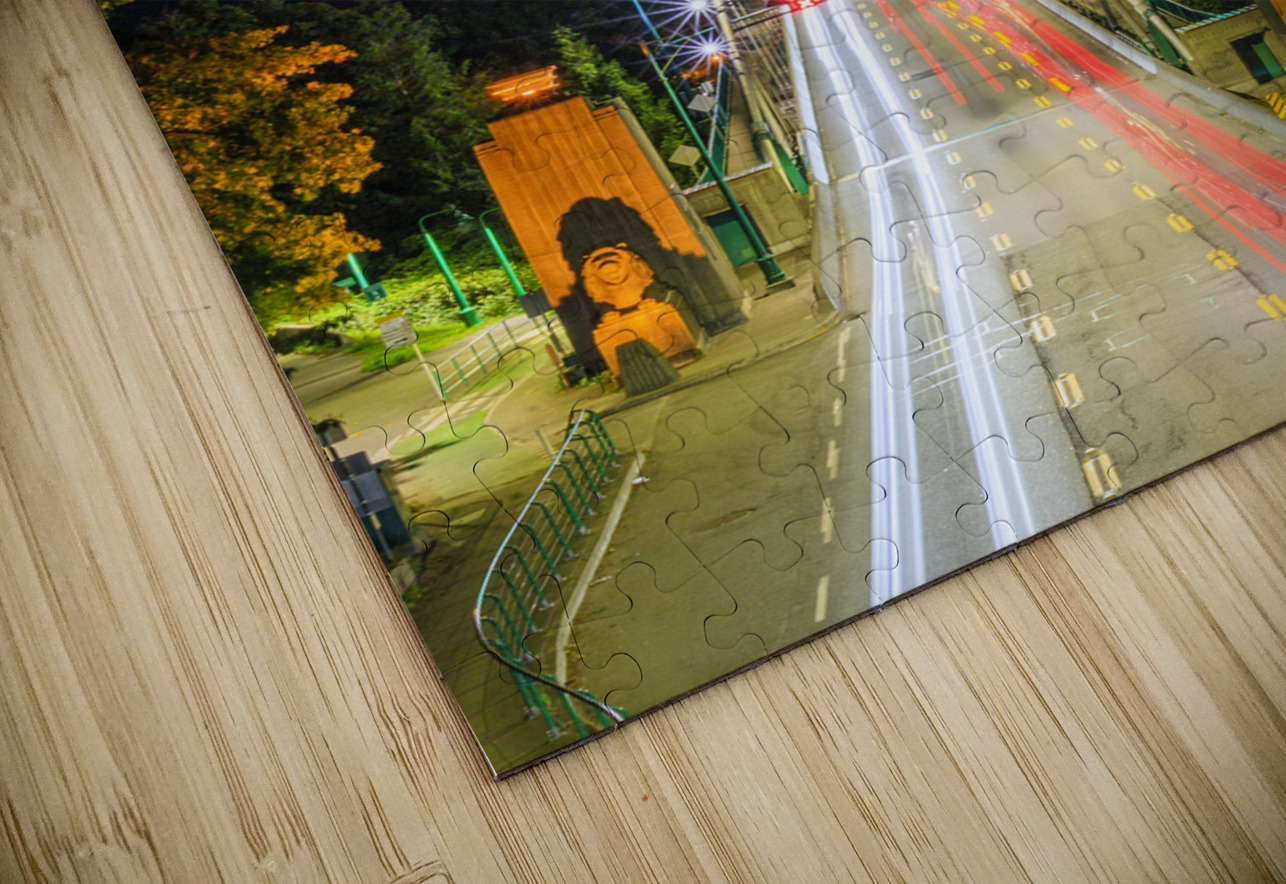 Store Vancouver 5L3A8885 Tono Chavez Puzzle