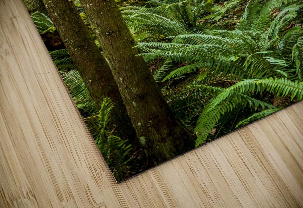 Store Vancouver 5L3A6895 Tono Chavez Puzzle