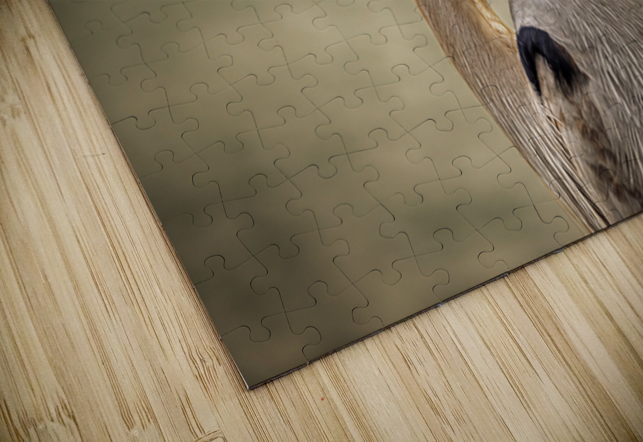 Store Key Biscayne AE2A9010 Tono Chavez Puzzle