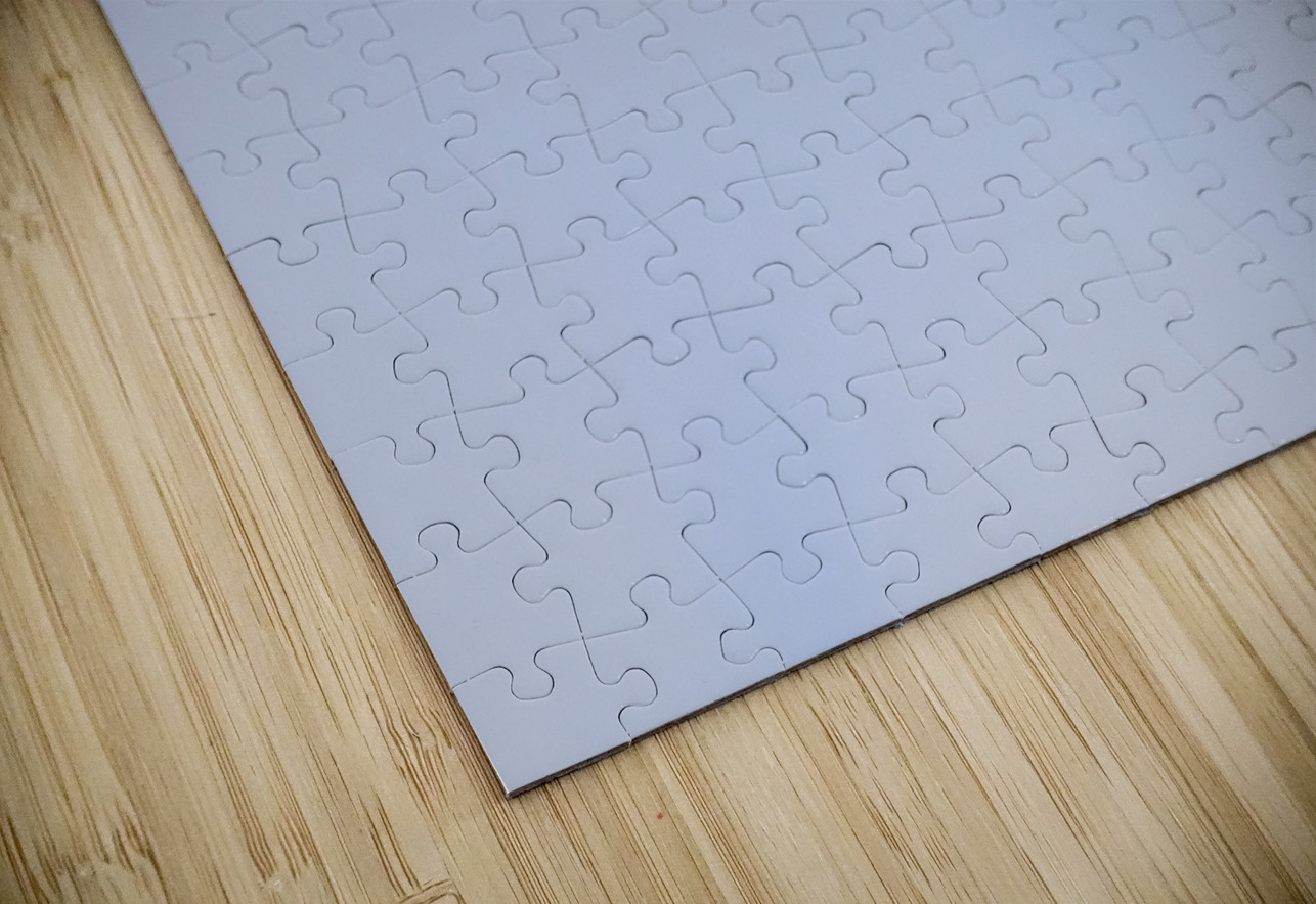 Store Dania Beach AE2A8747 Tono Chavez Puzzle