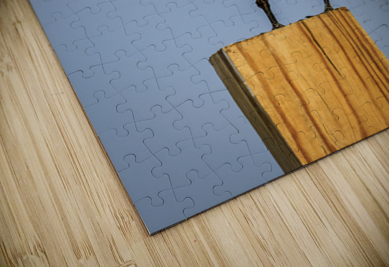 Store Dania Beach AE2A8826 Tono Chavez Puzzle