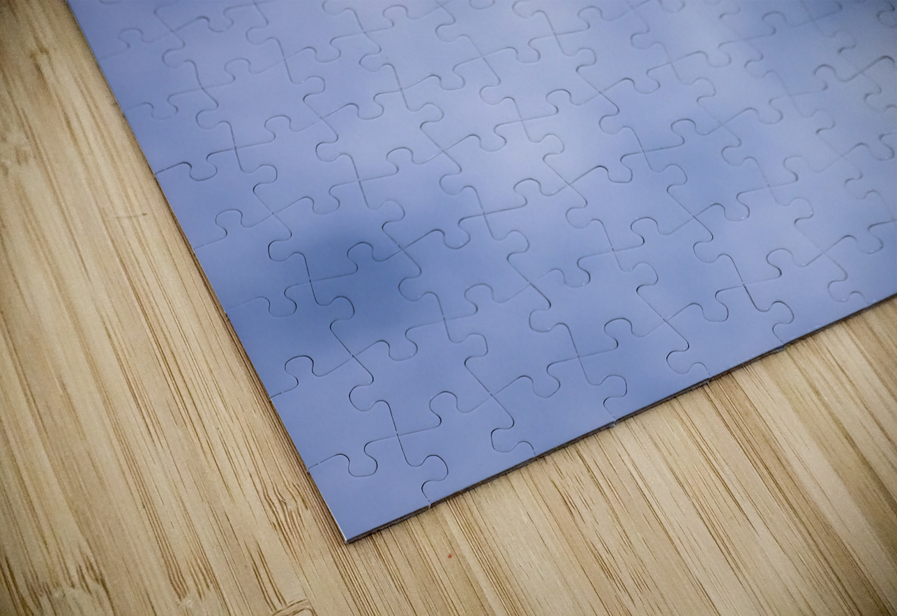 Store Dania Beach AE2A8885 Tono Chavez Puzzle