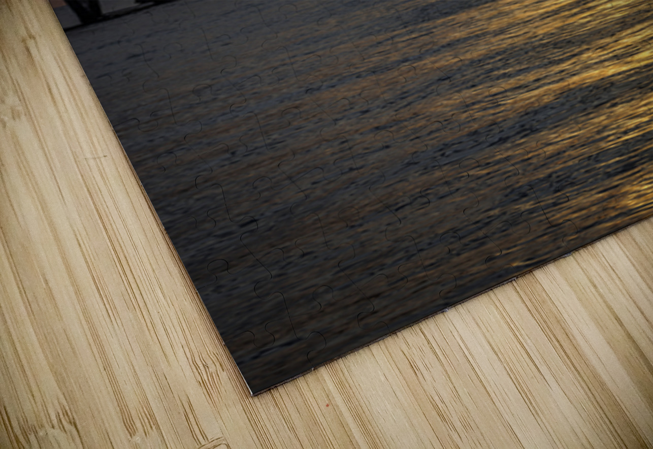 Store Dania Beach AE2A8676 Tono Chavez Puzzle