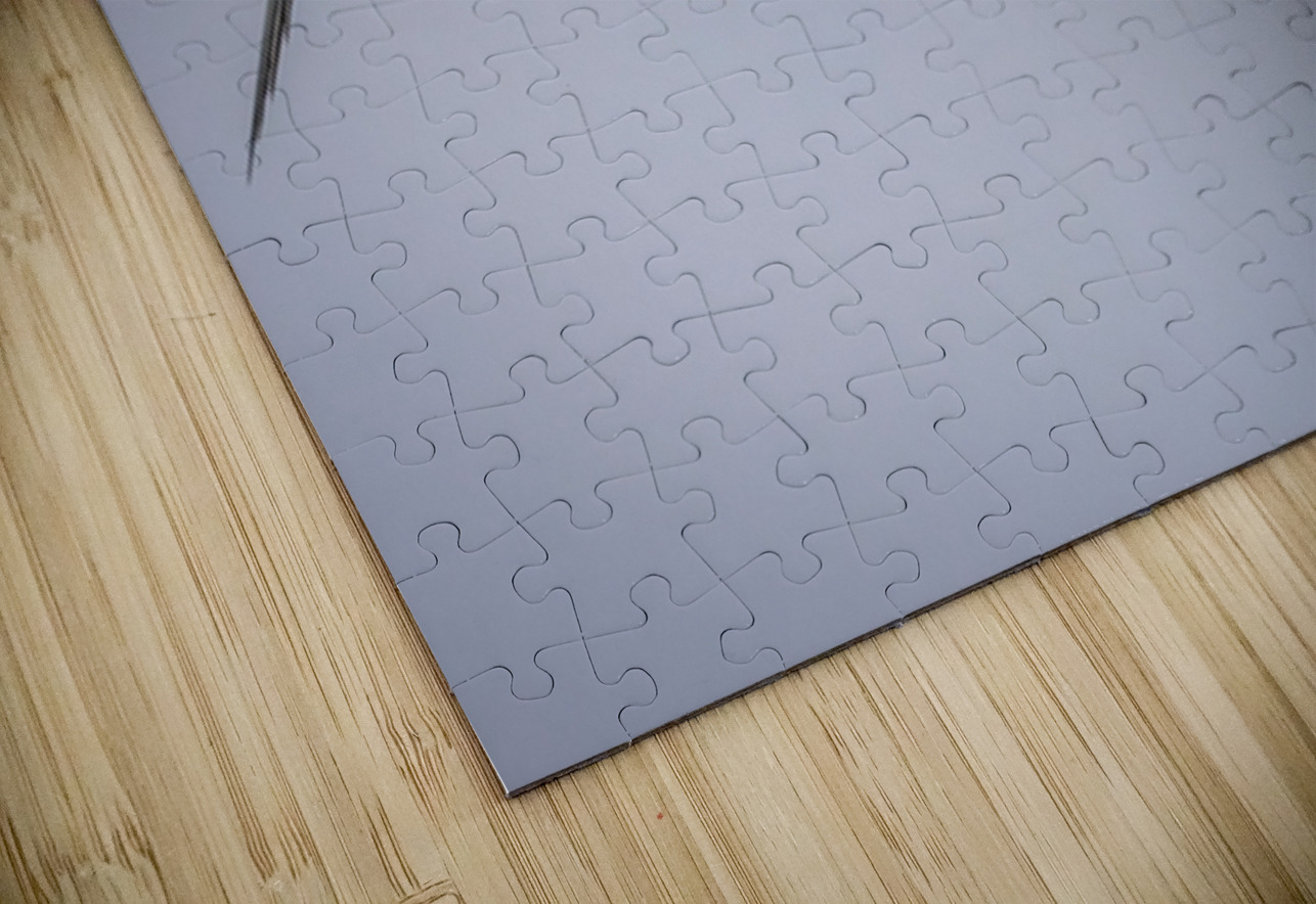 Store Dania Beach AE2A8748 Tono Chavez Puzzle